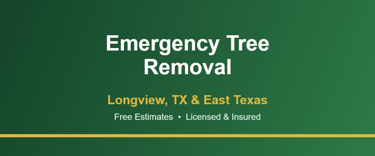 Emergency storm tree removal in Longview, TX